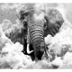 ARTGEIST Fototapet - Elephant in the Clouds (Black and White), elefant i skyerne (flere strrelser)