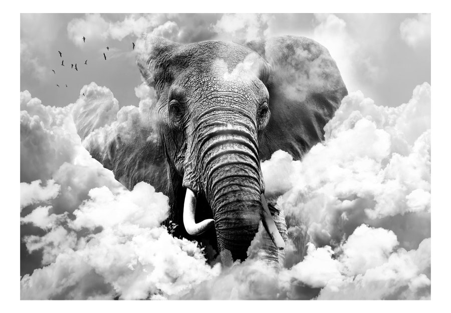 ARTGEIST Fototapet - Elephant in the Clouds (Black and White), elefant i skyerne (flere strrelser)