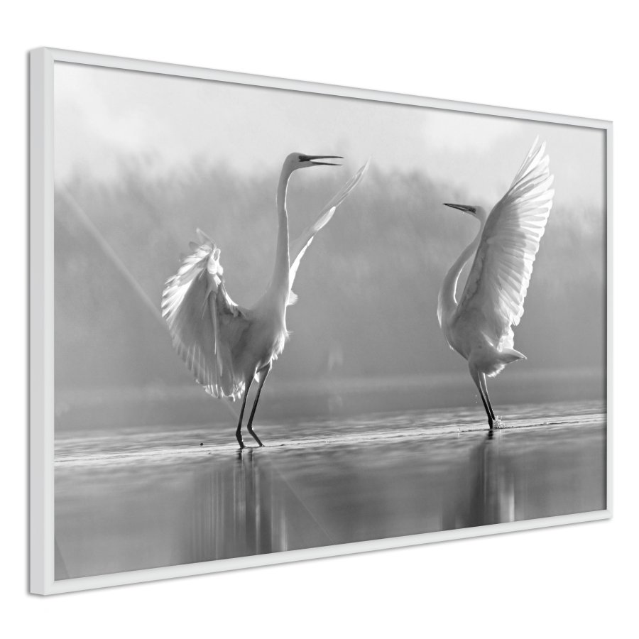 ARTGEIST Plakat med ramme - Black and White Herons
