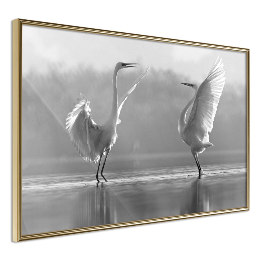 ARTGEIST Plakat med ramme - Black and White Herons