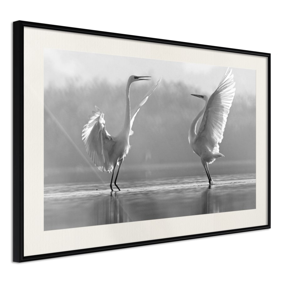 ARTGEIST Plakat med ramme - Black and White Herons