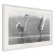ARTGEIST Plakat med ramme - Black and White Herons