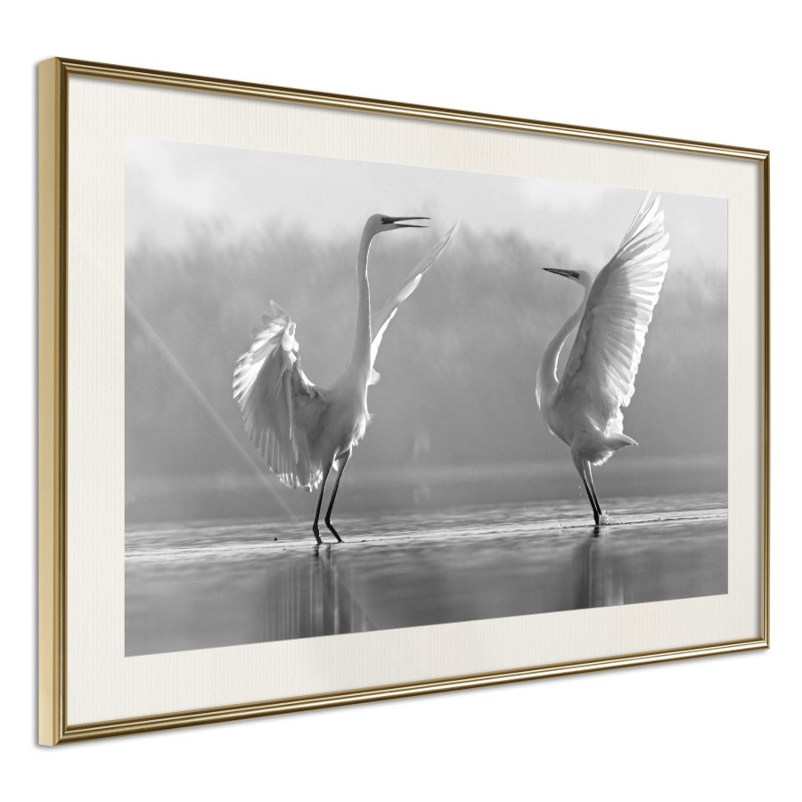 ARTGEIST Plakat med ramme - Black and White Herons