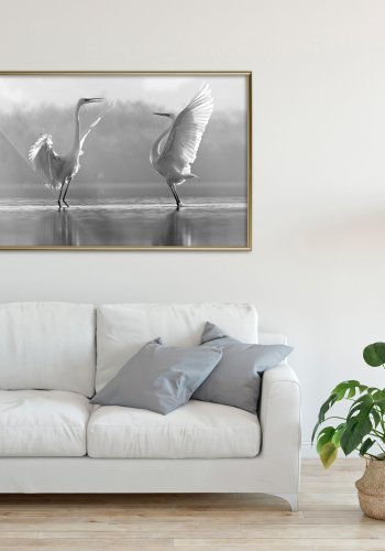 ARTGEIST Plakat med ramme - Black and White Herons