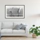 ARTGEIST Plakat med ramme - Black and White Herons