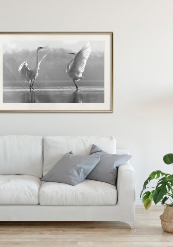 ARTGEIST Plakat med ramme - Black and White Herons