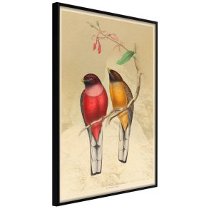 ARTGEIST Plakat med ramme - Ornithologist's Drawings