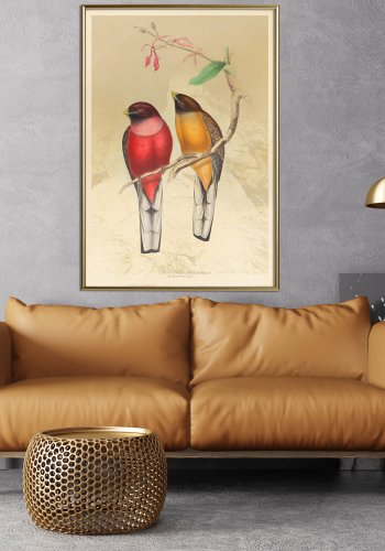 ARTGEIST Plakat med ramme - Ornithologist's Drawings