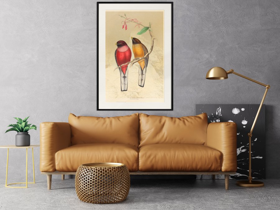 ARTGEIST Plakat med ramme - Ornithologist's Drawings