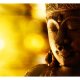 ARTGEIST Fototapet - Buddha - Enlightenment, Buddha nrbillede (flere strrelser)
