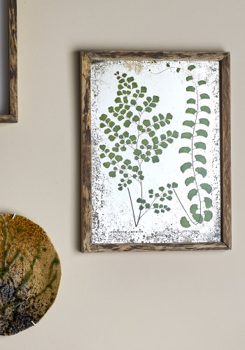 CREATIVE COLLECTION Tipper Illustration med ramme, Natur, Fyrretr