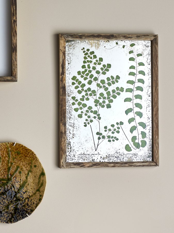 CREATIVE COLLECTION Tipper Illustration med ramme, Natur, Fyrretr