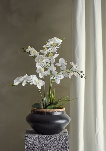 BLOOMINGVILLE Orchid kunstig plante - hvid og grn plastik