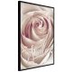 ARTGEIST Plakat med ramme - Rose with a Message 