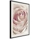 ARTGEIST Plakat med ramme - Rose with a Message 