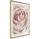 ARTGEIST Plakat med ramme - Rose with a Message 
