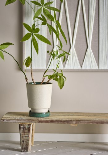 BLOOMINGVILLE Idril urtepotte m. underskl - natur stentj