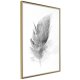 ARTGEIST Plakat med ramme - Lost Feather (Grey)