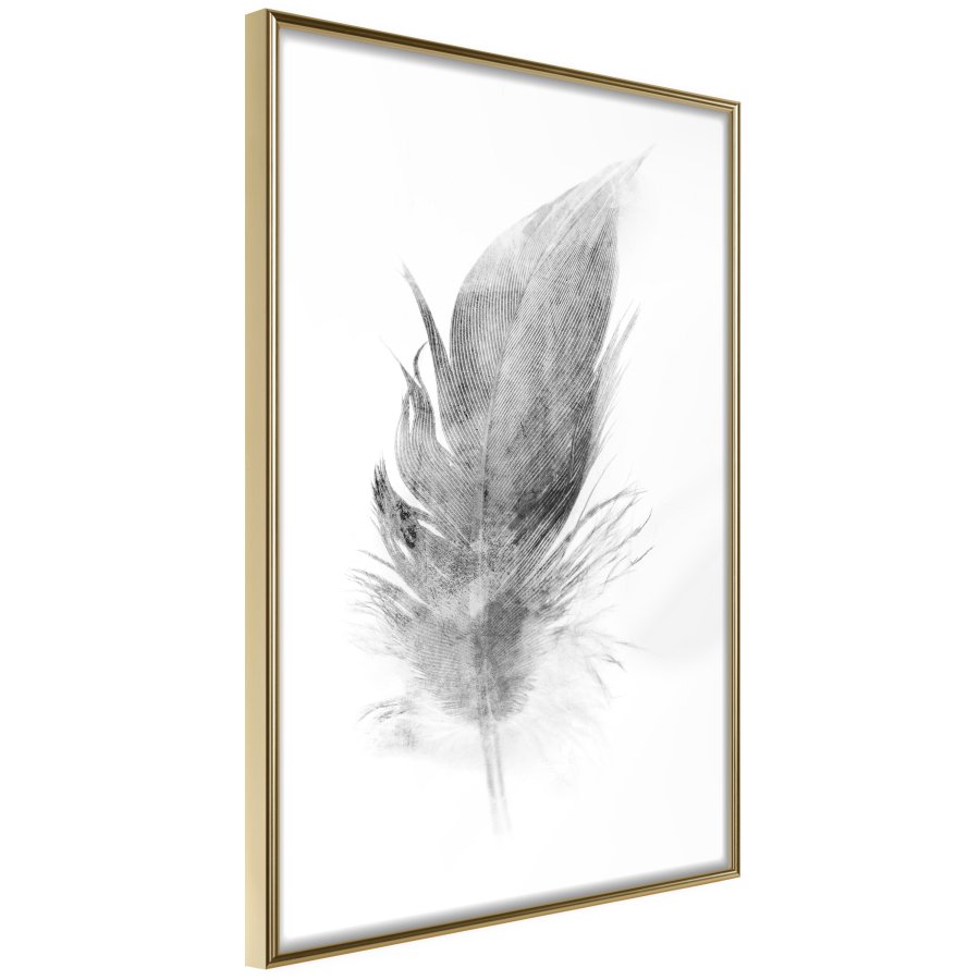 ARTGEIST Plakat med ramme - Lost Feather (Grey)