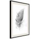 ARTGEIST Plakat med ramme - Lost Feather (Grey)