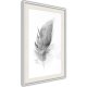 ARTGEIST Plakat med ramme - Lost Feather (Grey)
