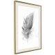 ARTGEIST Plakat med ramme - Lost Feather (Grey)