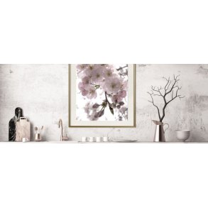 Plakater - Botaniske