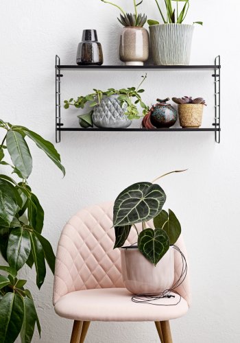 BLOOMINGVILLE North Hylde, Sort, MDF