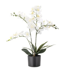 BLOOMINGVILLE Orchid kunstig plante - hvid og grn plastik