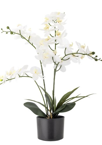 BLOOMINGVILLE Orchid kunstig plante - hvid og grn plastik