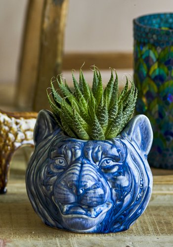 CREATIVE COLLECTION Abner Urtepotteskjuler, Bl, Stentj