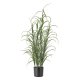 BLOOMINGVILLE Grass kunstig plante - grn plastik